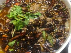 -三猫黑鱼花(南大店)
