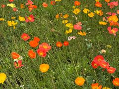 -云南省昆明市正义路步行街(三市街)