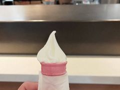 -麦当劳(潮南峡山得来速店)