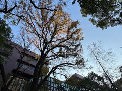 -香港大学