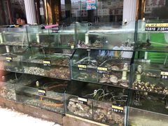 水产区-四海鲜渔家菜(黄金海岸店)