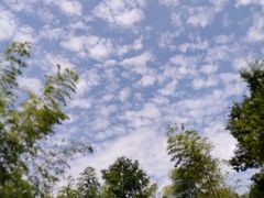 -陶祖圣境风景区