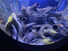 -成都浩海立方海洋公园