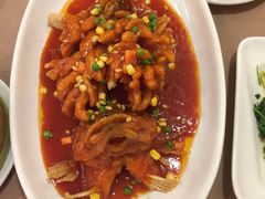 松鼠桂鱼-新南华大酒店(广中店)