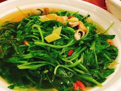 -金石国际大酒店·金丽自助餐厅