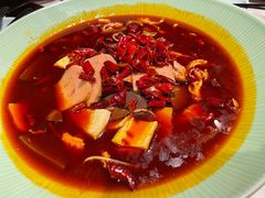 -小吊梨汤·北京菜·烤鸭(鸟巢店)