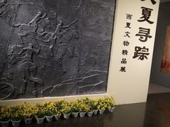 -宁夏博物馆