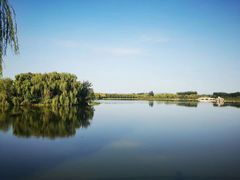 -大兴滨河森林公园