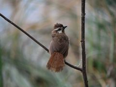 -白鹭湾湿地公园