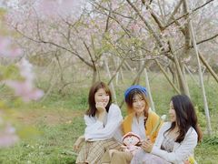 -天适樱花悠乐园