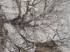 -老舍旧居