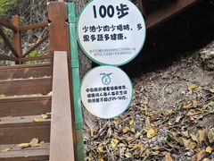 -大岭沟猕猴桃谷风景区
