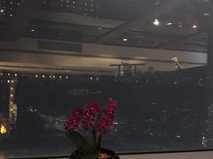 -随意鸟地方101观景餐厅