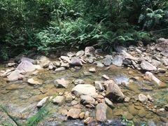 -广州白江湖森林公园