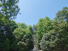 -灵谷景区