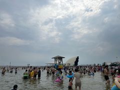 -碧海金沙