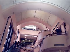 -香港大学
