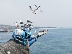 -大连老虎滩海洋公园