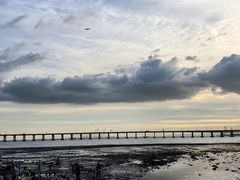 -宝安西湾红树林湿地公园