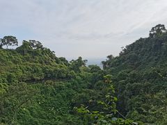 -海口火山口国家地质公园