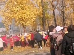 -百林公园-两江幸福广场