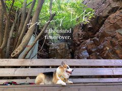 -湖洞水自然风景区