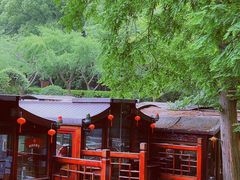 -同里国家湿地公园