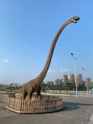 -恐龙探索乐园(磁器口店)