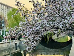 -元大都城垣遗址公园