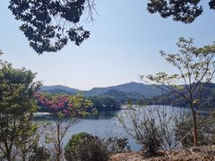 -红花湖景区