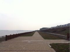 -湖南东洞庭湖国家级自然保护区