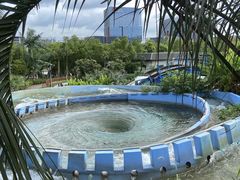 -苏州乐园森林水世界