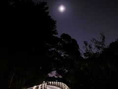 -狐尾山公园
