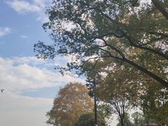 -东湖落雁景区