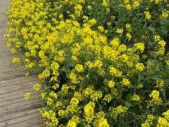 -中国天府农业博览园