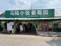 -马陆小张葡萄园农家乐