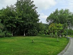 -长广溪湿地公园
