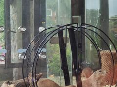 -珠海海泉湾神秘岛亲子乐园