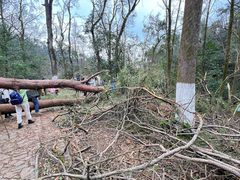-岳麓山风景名胜区