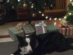 -哈尔滨北方国际青年旅舍(中央大街店)