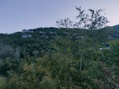 -天目湖御水温泉·度假酒店