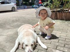 -朕悦鹧鸪饭私房菜