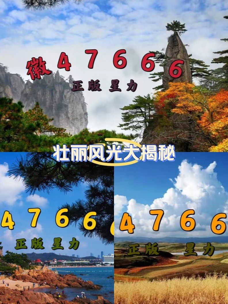 5分钟了解星力九代正版