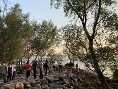 -宝安西湾红树林湿地公园