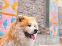 -云间粮仓