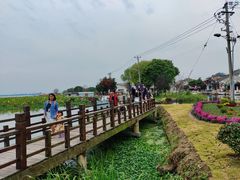 -七的湖·晚芳亭·阳澄湖农家菜·大闸蟹(莲花岛店)