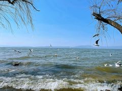 -捞渔河湿地公园