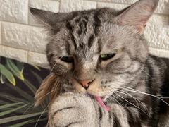 -平行世界·猫咖(首经贸店)