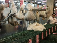 -荔城生鲜盛宴(番禺旗舰店)