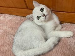 -海马体照相馆(万菱汇店)